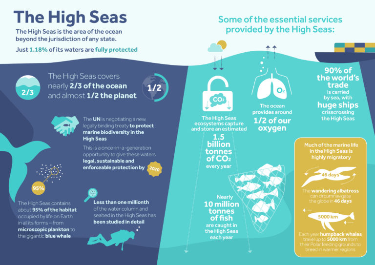 Infographics - One Ocean