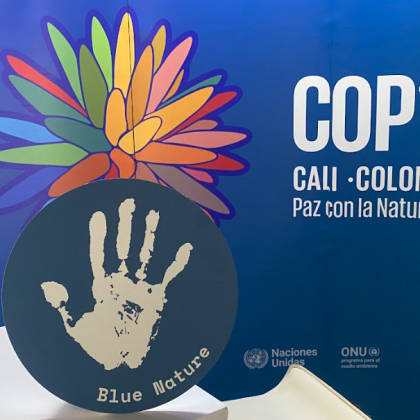 What’s at Stake for the Ocean at COP16?